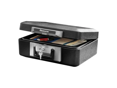 SentrySafe Fireproof & Waterproof Keyed Document Safe (0.65 Cu Ft)