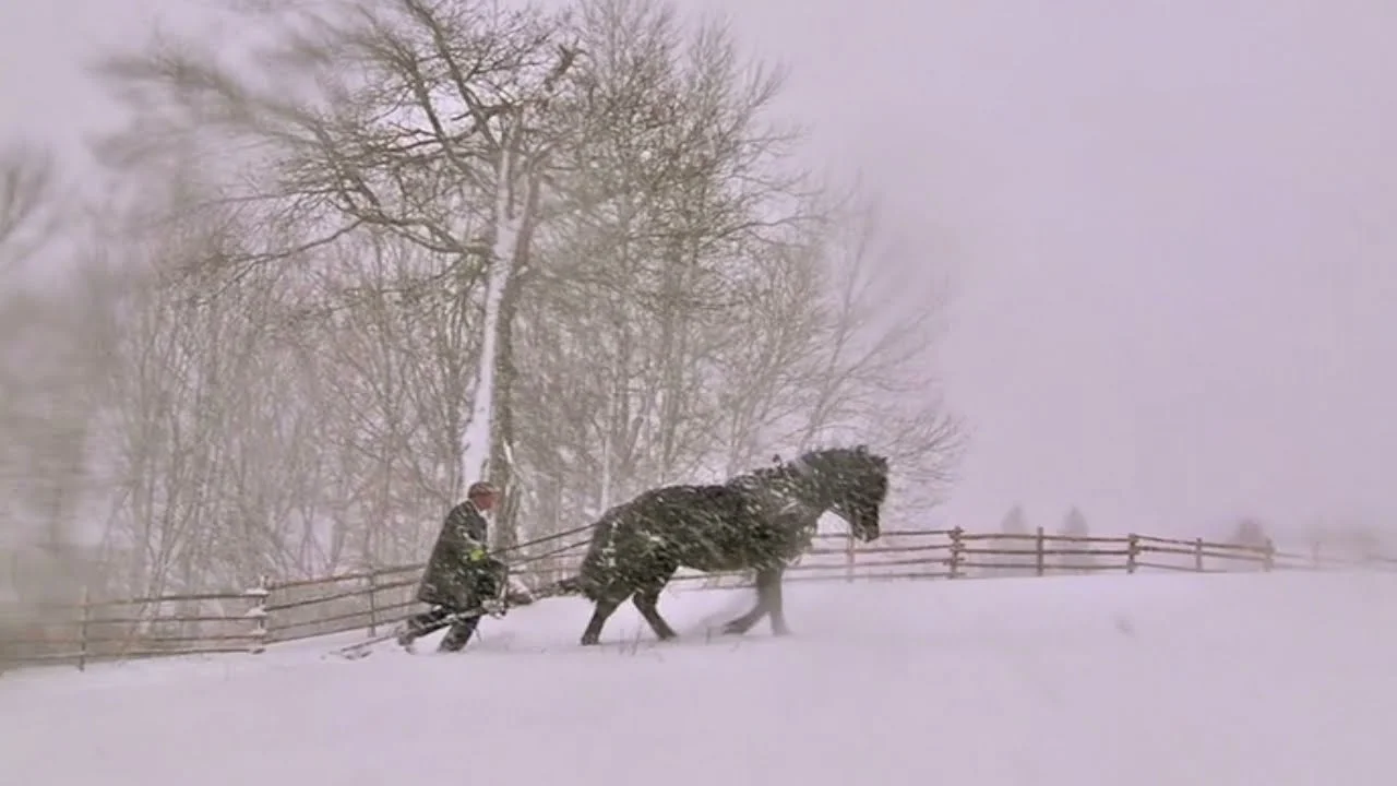 Farming in the 1800's - Ross Farm Museum, Nova Scotia | HOMESTEAD | PIONEER | CANADIAN | FRONTIER