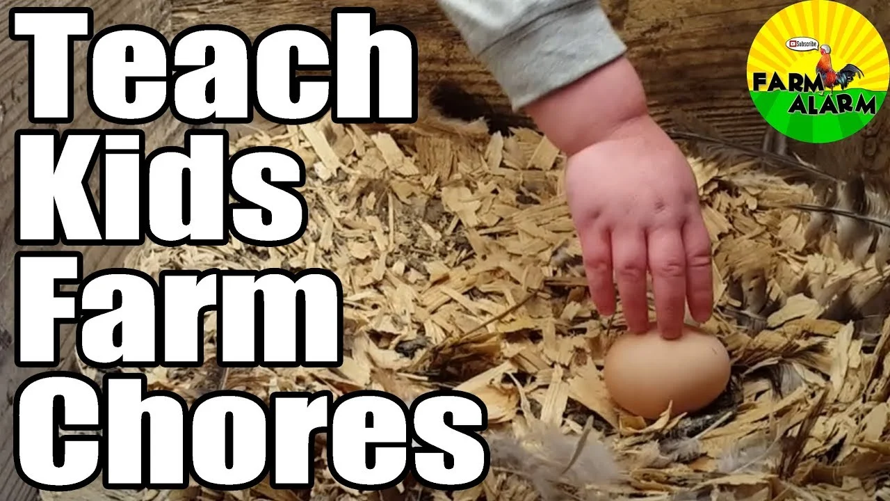 Why you should teach your kids Farm Chores - Short Film