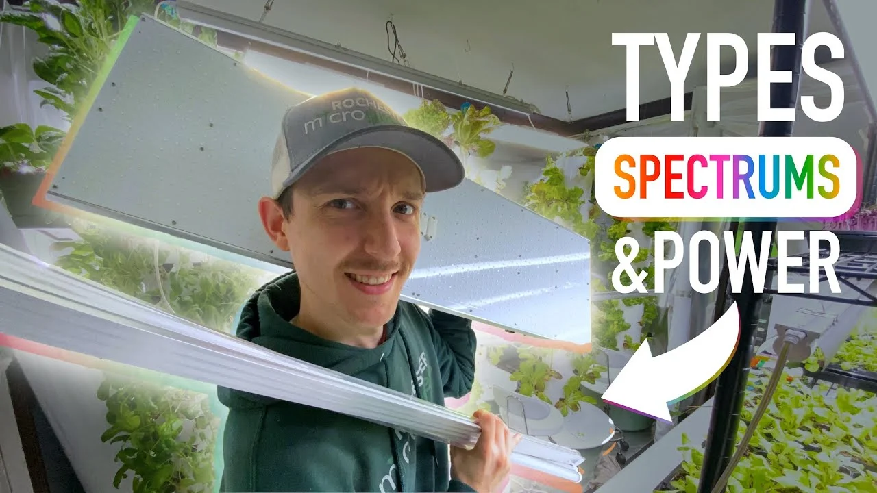 Grow Lights Explained: Diodes, PAR & Spectrum
