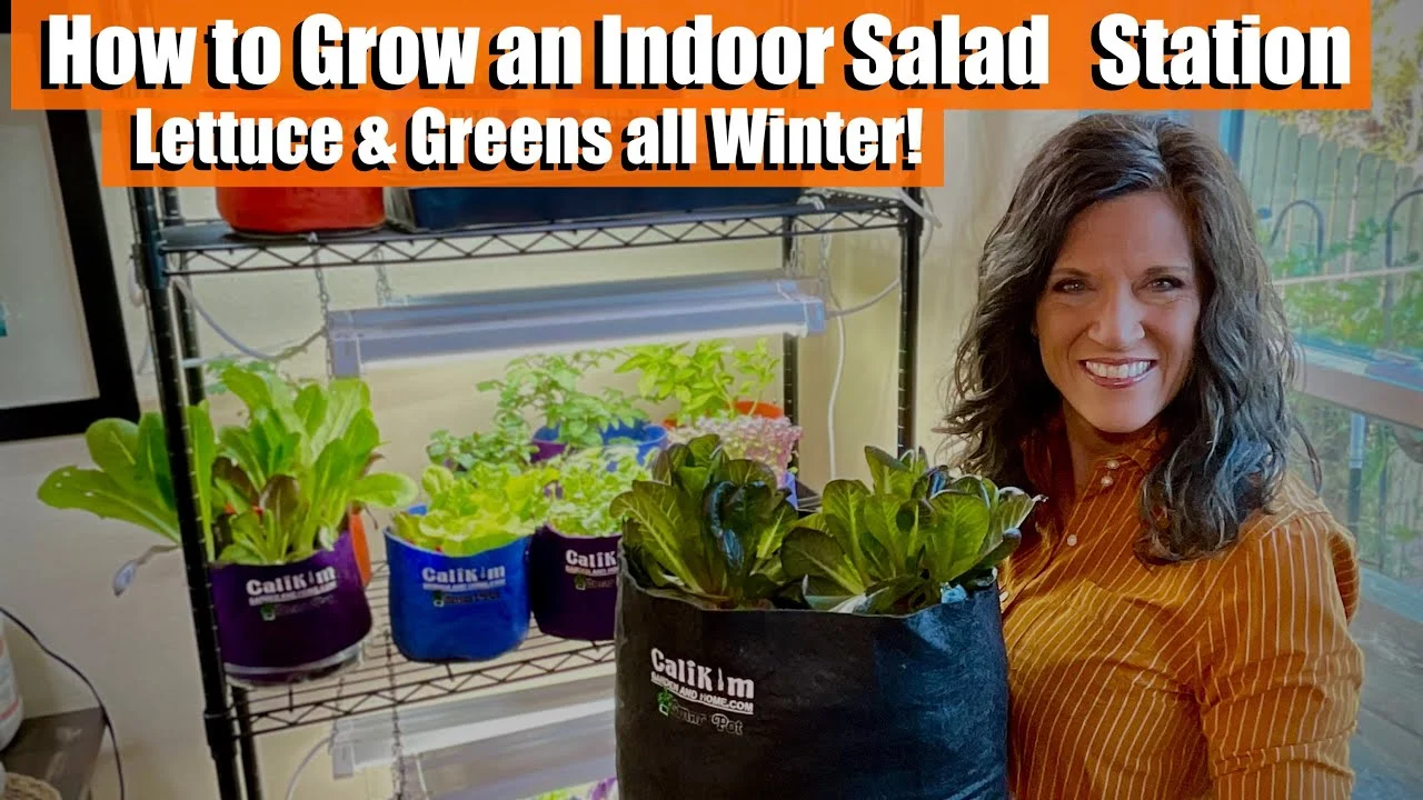 Build a Scalable Indoor Salad Station